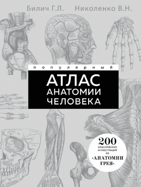 1755332960821-png.74942